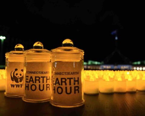 Earth Hour 2020