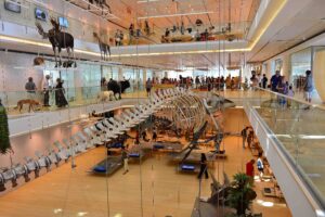 L'interno del Museo delle scienze naturali di Trento