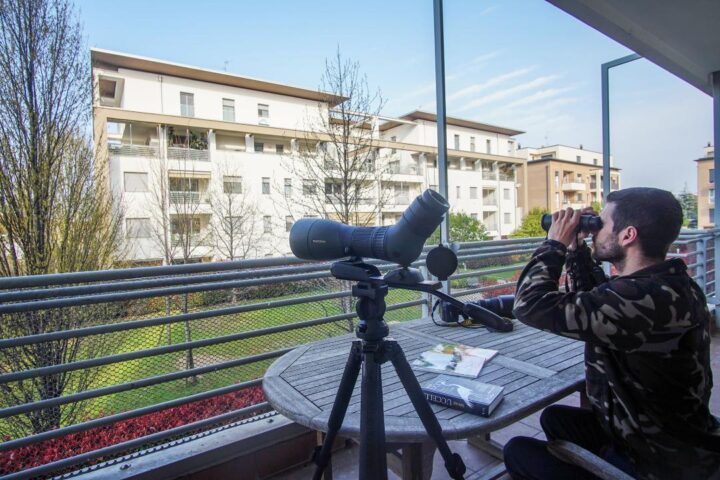 Mario Monfrini e fa birdwatching dal balcone di casa a Saronno (Va)