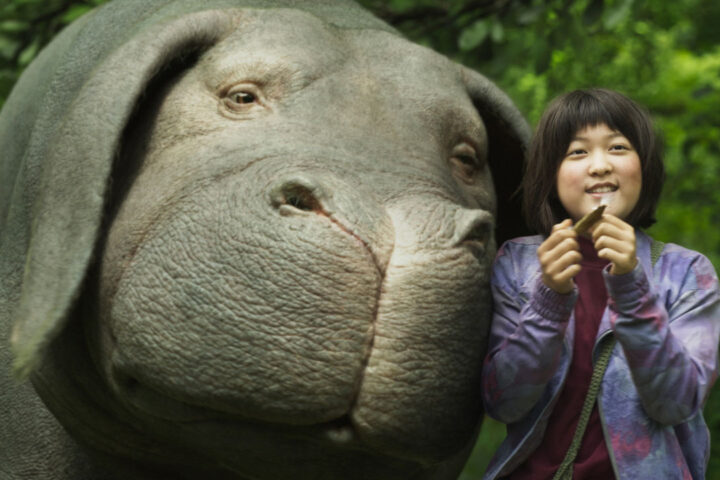 Okia e mija, film Okja