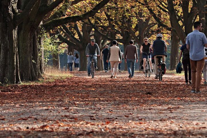 alberi e passeggiata