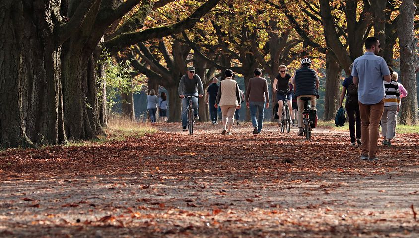 alberi e passeggiata