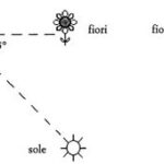 La danze della api