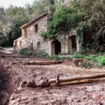 Manutenzione boschiva a Monte Romano