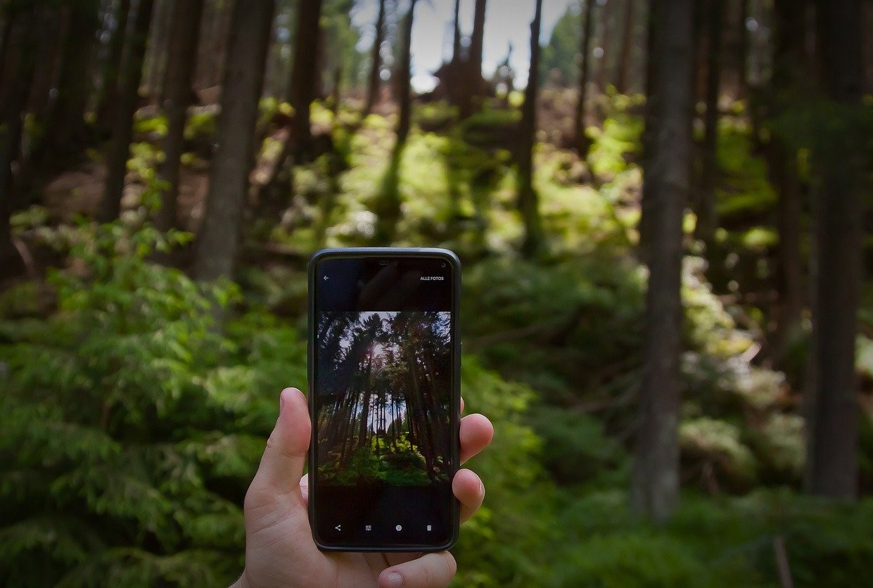 fotografare le natura con il telefono