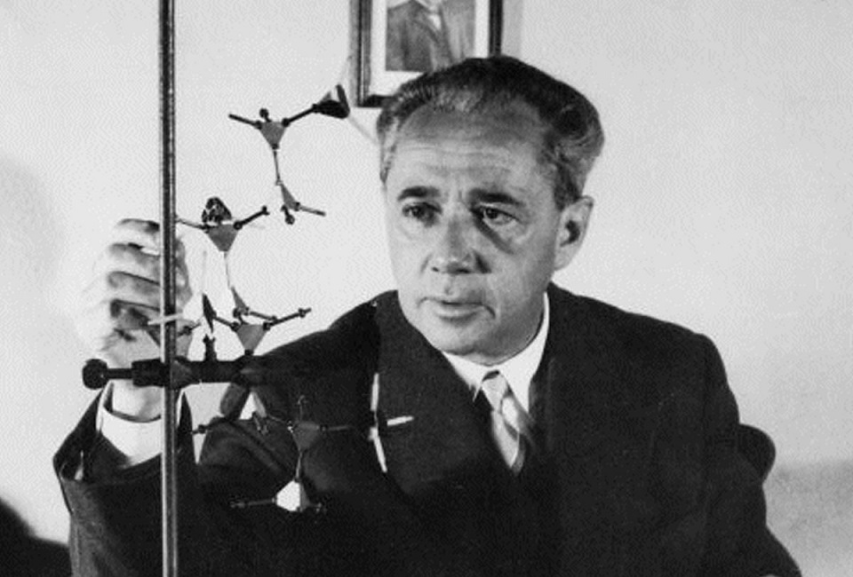 Giulio Natta, chimico
