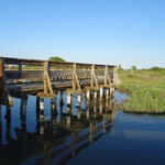 Alcune immagini del Parco del Delta del Po