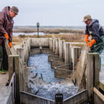 Due pescatori raccolgono il pesce da reti sulle banchine nel Parco del Delta del Po