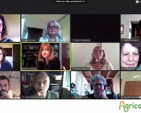 Webinar disastro in Siberia