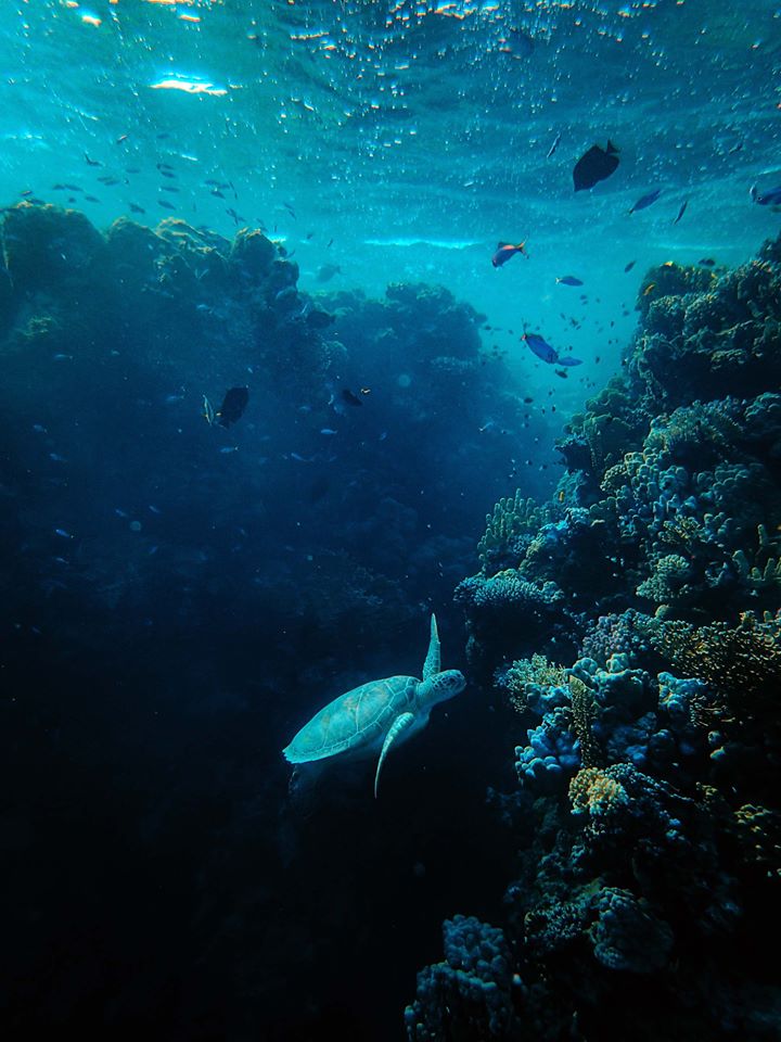 Foto pianeta Oceano