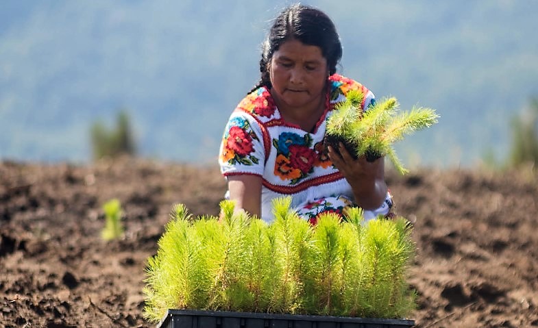 Agricoltura in America Latina