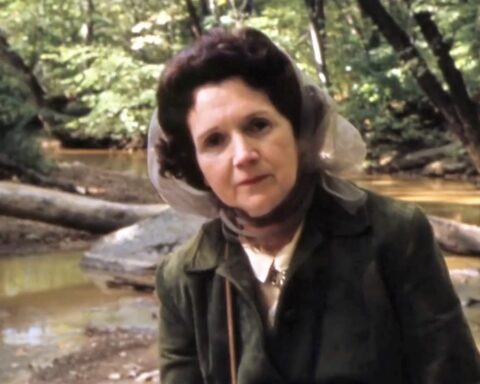 Rachel Carson