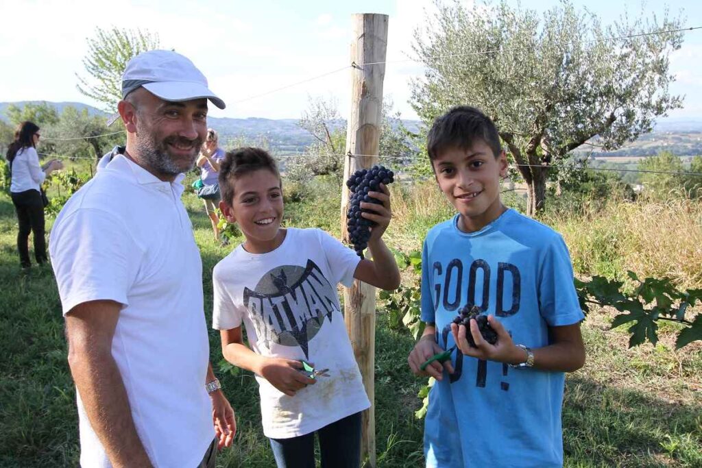 La fattoria didattica durante la vendemmia all'Istituto agrario Ciuffelli di Todi (Pg)