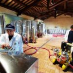 La cantina nell'Istituto agrario Ciuffelli di Todi (Pg)