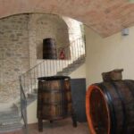 L'ingresso della cantina nell'Istituto agrario Ciuffelli di Todi (Pg)