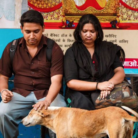 Il documentario Pariah Dog