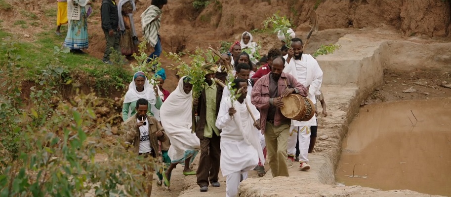 the great green wall doc