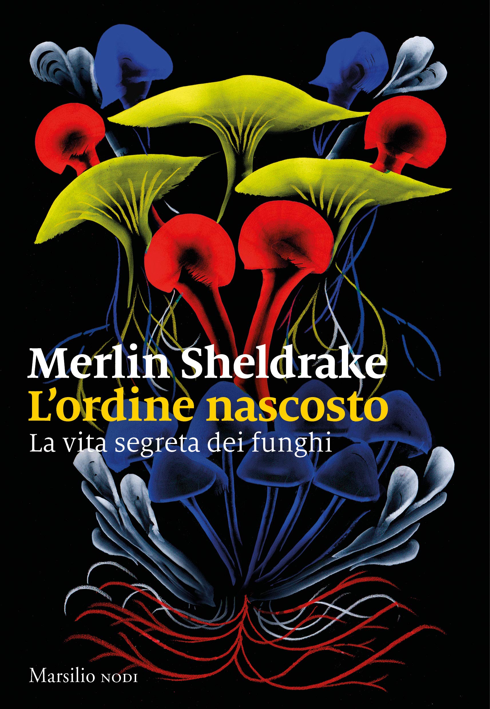 L'ordine nascosto, copertina