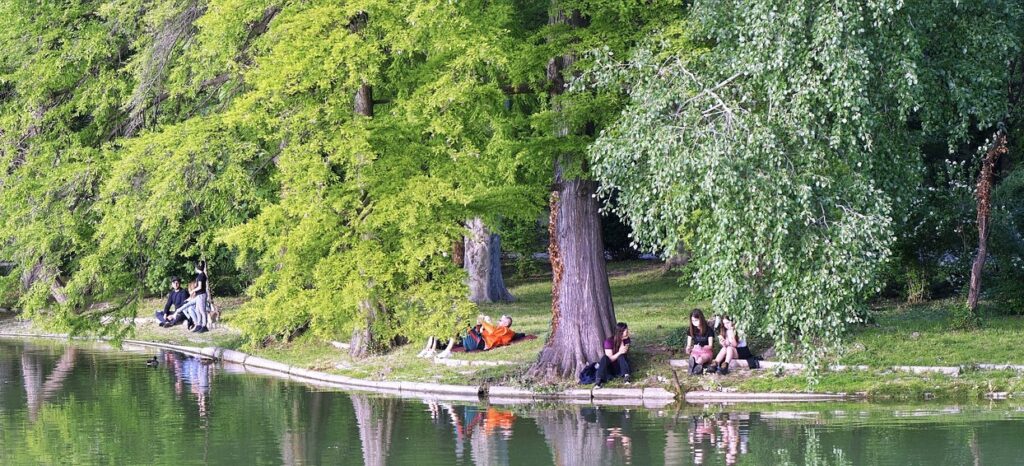 paesaggio con alberi