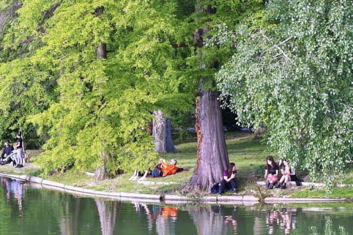 paesaggio con alberi