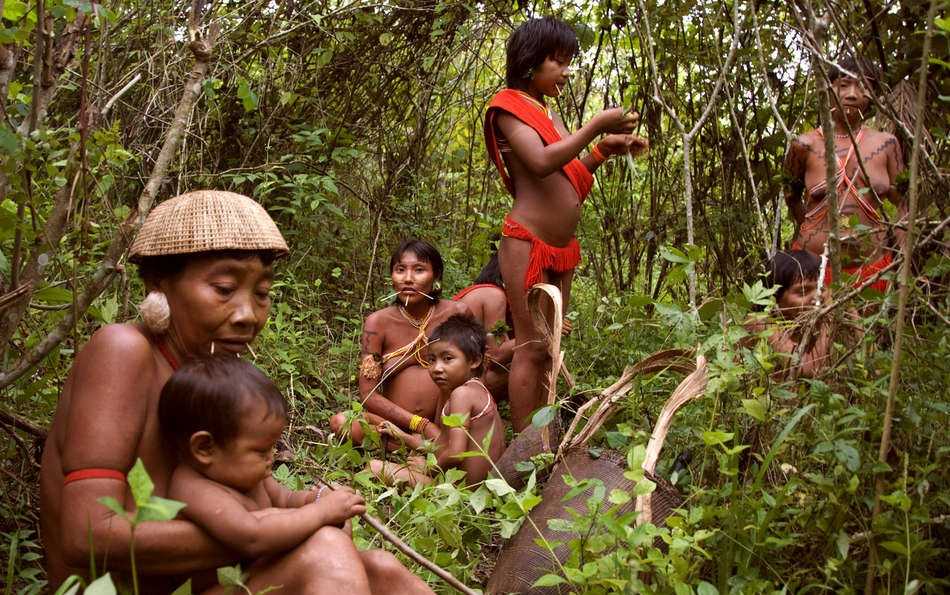 Imm2_Yanomami_©Survival