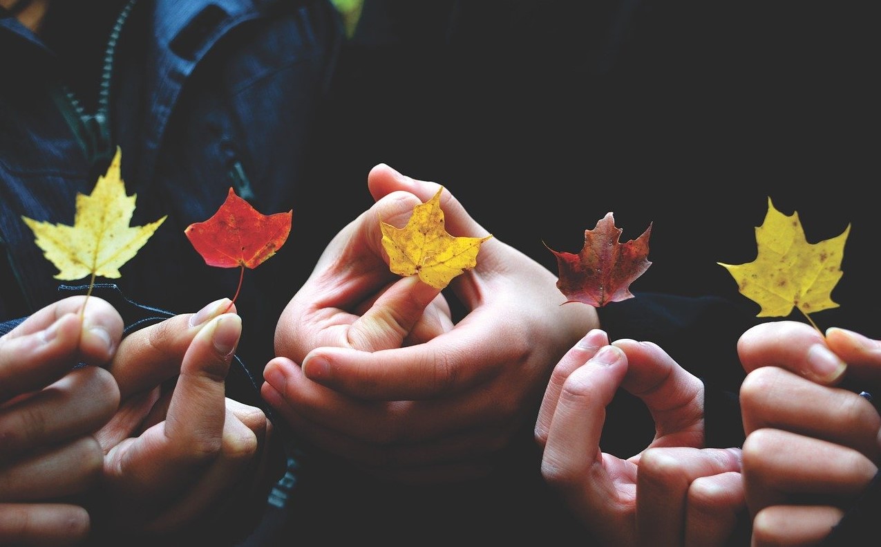 nterpretare foglie in autunno