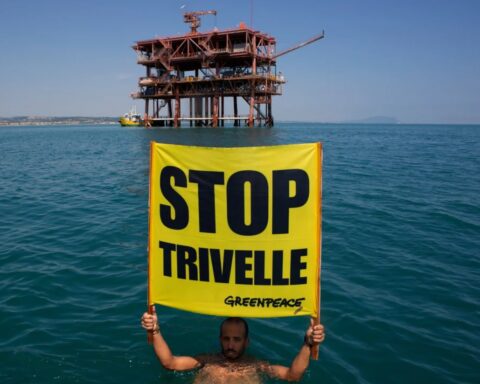 Trivelle Greenpeace