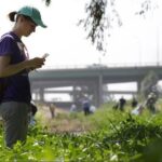 Una ragazza fotografa con lo smartphone delle specie vegetali nell'ambito della Nature city challenge