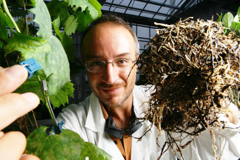 Il botanico Stefano Mancuso