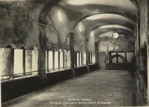 L'acquario di Napoli