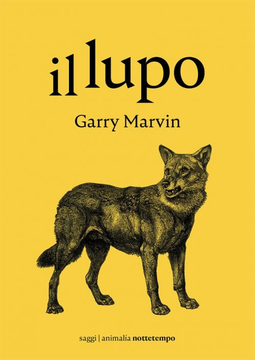 Il Lupo, saggio di Garry Malvin