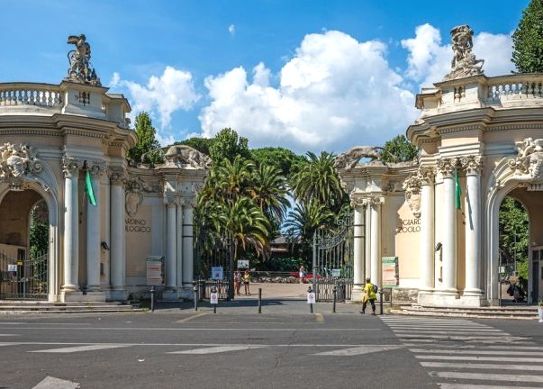 Bioparco di Roma, ingresso