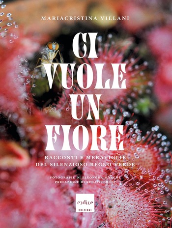 Ci vuole un fiore, copertina