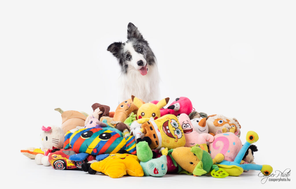 Un cane circondato da giocattoli colorati inclina la testa