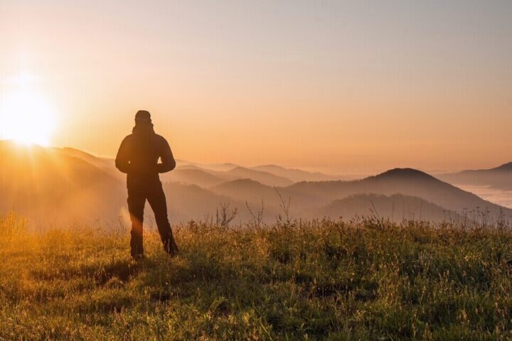 paradossi della nostra presenza sulla terra