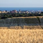 Vista su Cerveteri (Rm), di Giuseppe Trogu. "Il cammino dei vulcani", gennaio/febbraio 2022