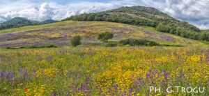 La campagna di Caere (Cerveteri, Roam), di Giuseppe Trogu. "Il cammino dei vulcani", gennaio/febbraio 2022