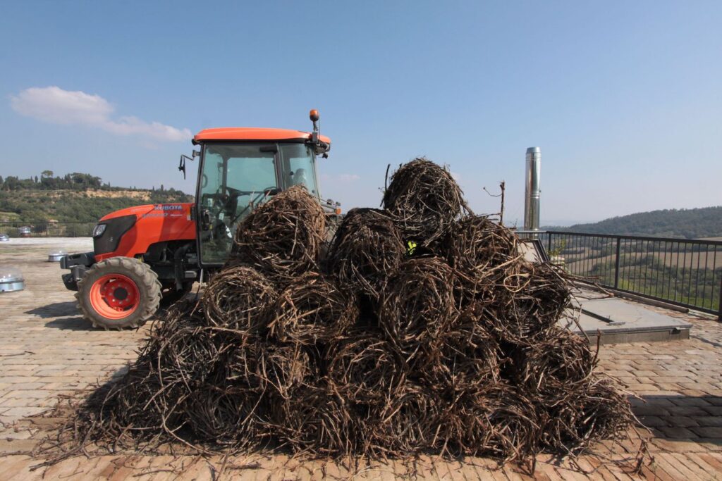 Nel modello energetico della cantina Salcheto ci sono anche le biomasse