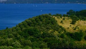 Monte Tonico, Bracciano (Roma), 2006. Foto di Socrate Pontanari, Associazione fotocineamatori di Bracciano, "Il cammino dei vulcani", gennaio/febbraio 2022