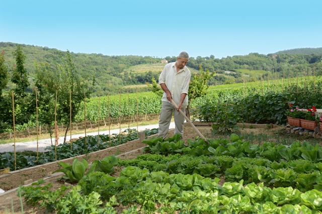 L'orto della cantina Salcheto a Montepulciano (SI)