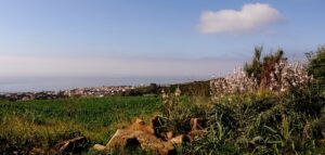 Primavera dalla collina a Santa Marinella (Roma), foto di Massimo De Luca, "Il cammino dei vulcani", gennaio/febbraio 2022