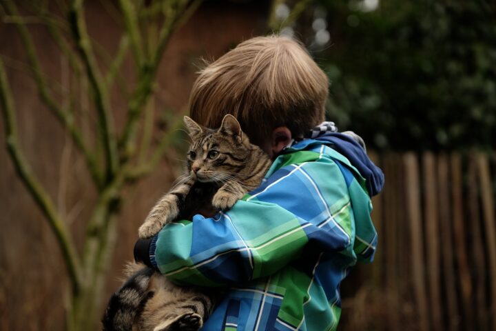 Un bambino abbraccia il suo amico felino