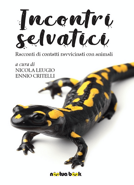 copertina Incontri Selvatici