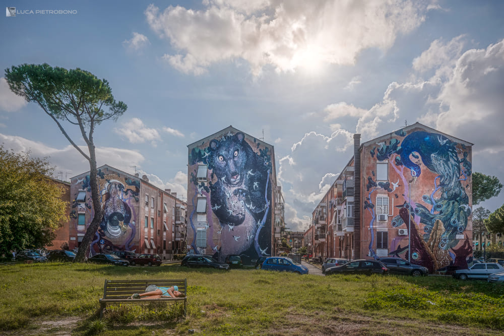 Il quartiere romano di San Basilio (Foto: Luca Pietrobono, progetto fotografico "L'altra Roma")