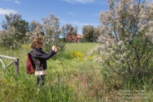 La Nature city challenge si organizza in 14 località, qui sopra Casa Ramsar a Trinitapoli (Fg) (Foto: Cnc)