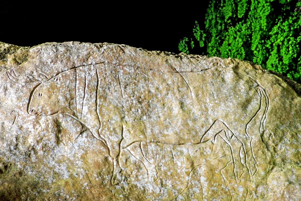 pitture rupestri