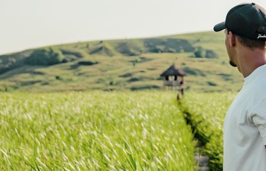 un uomo guarda un campo agricolo