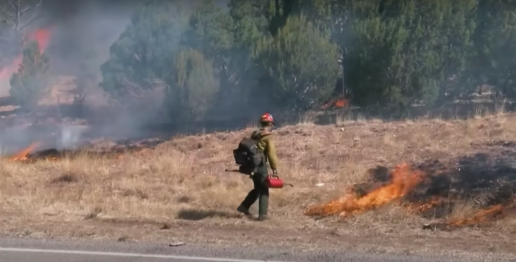 Un vigile del fuoco al lavoro per spegnere l'incendio che sta devastando il New Mexico da oltre un mese