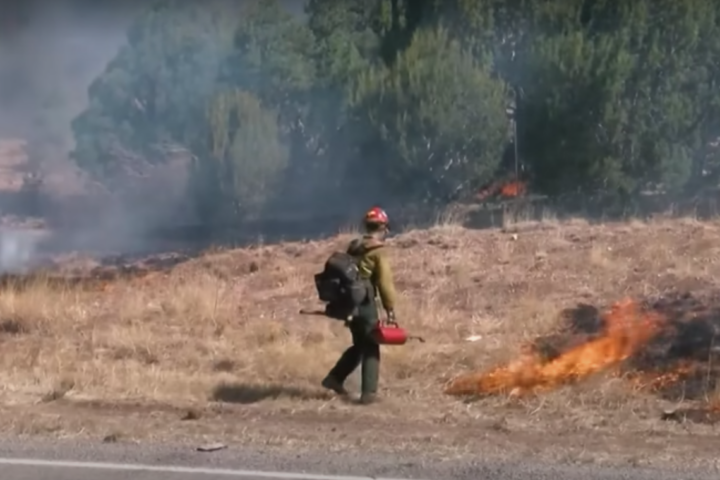 Un vigile del fuoco al lavoro per spegnere l'incendio che sta devastando il New Mexico da oltre un mese