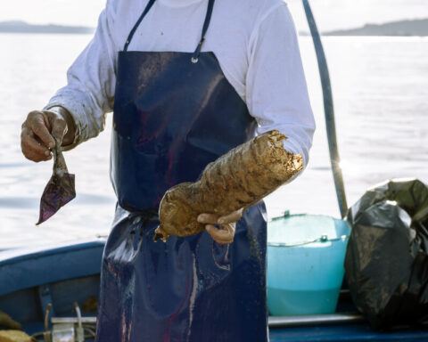 pescatore che recupera rifiuti in mare